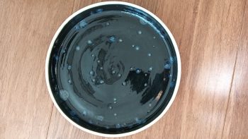 Night moth dish - Image 3