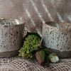 Speckled tumbler - Image 3